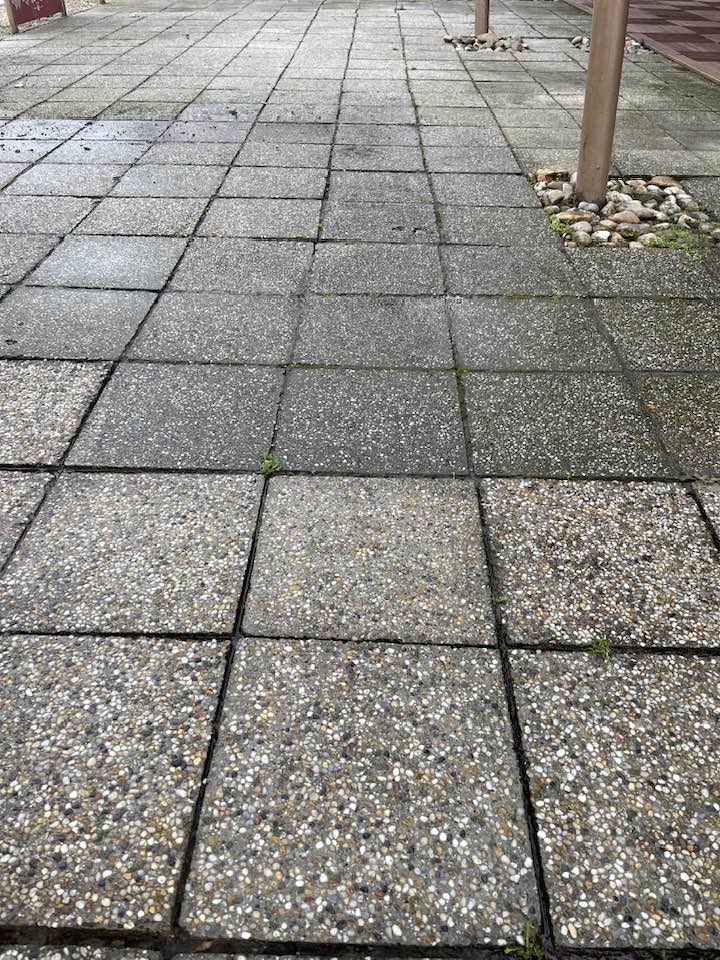 Kerítéslábazat tisztítása egy parti telken